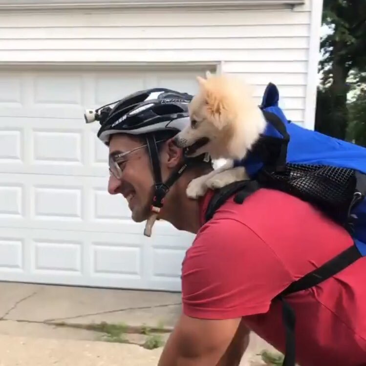 PlaceboFoods's profile picture. Acknowledge the externalities of how you spend money.