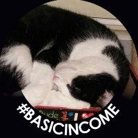 Kitty (@meowvt) 's Twitter Profile
