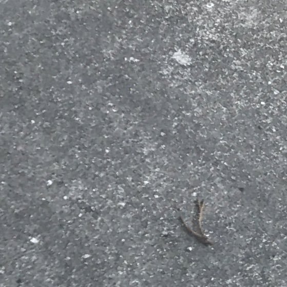 QkBHuFhciDMdT6y's profile picture. 