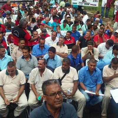 mbsptvmiranda's profile picture. transporte