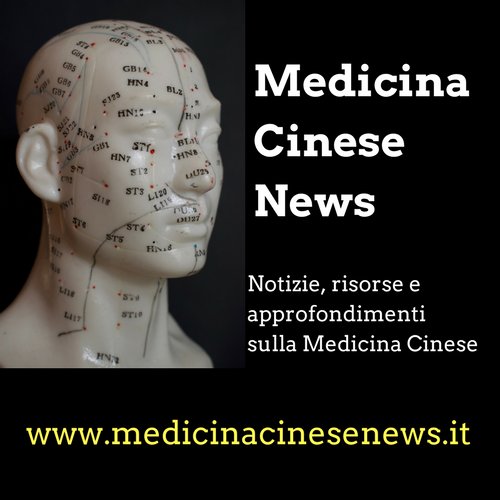 Notizie, risorse e approfondimenti sulla Medicina cinese