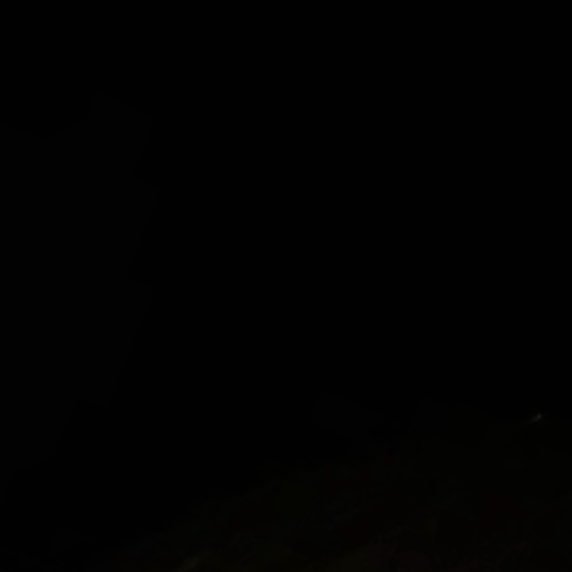 mathmatics256's profile picture. 