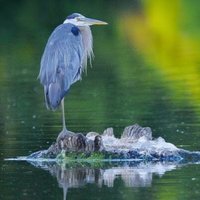Tim Wynkoop (@wynkooptim) 's Twitter Profile