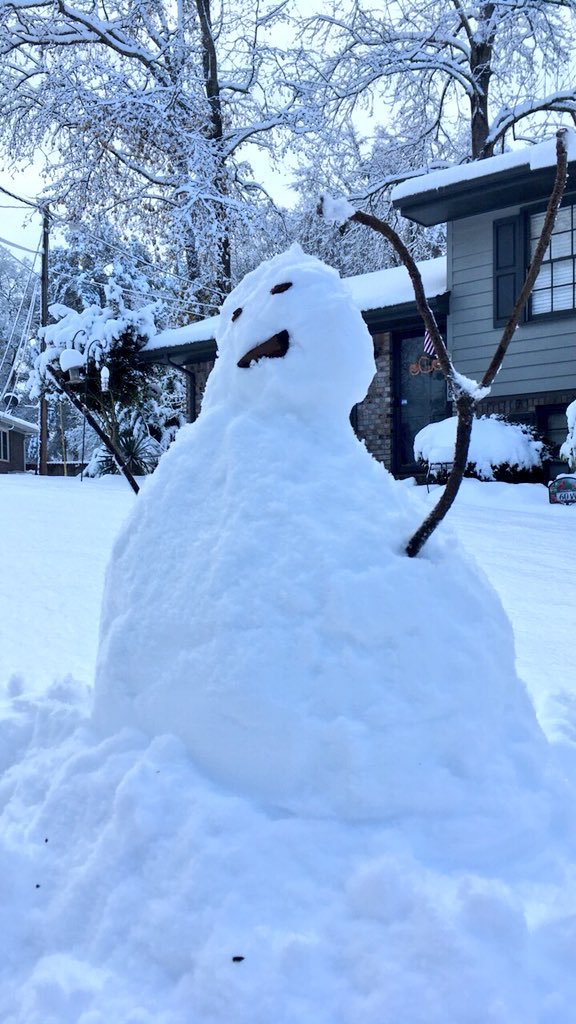 FaithTann's profile picture. 