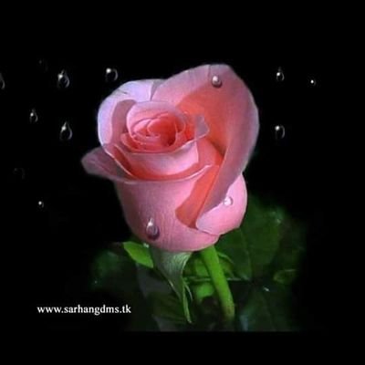 ED96ecgKeO2zDny's profile picture. 