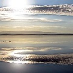 ivo_fan_'s profile picture. Family, Drama & Mystery Movies and Series

#TheSummerITurnedPretty #TheWayHome #SavePLLThePerfectionists