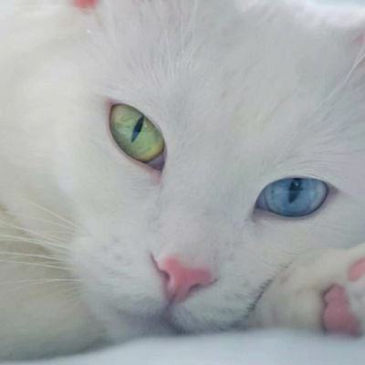 Brumont1991's profile picture. 