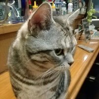 🟦REPLAY😻🟦(momo) (@replay00410) 's Twitter Profile