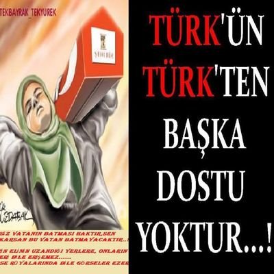 🇹🇷TEKVATAN TEKBAYRAK TEKDEVLET #AŞIĞI LEYLA