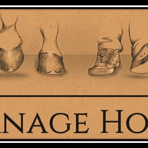 Formation en management & team building assistés par les chevaux