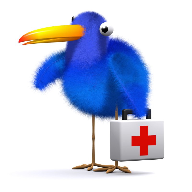 Birdcare & Treatments, Delivered To Your Door Worldwide.
