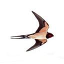 Eric LaFave - @EricLaFave - Twitter