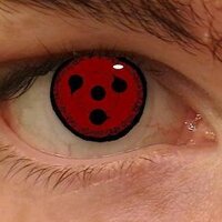 ルイスの京都 (@suriano_luis) 's Twitter Profile