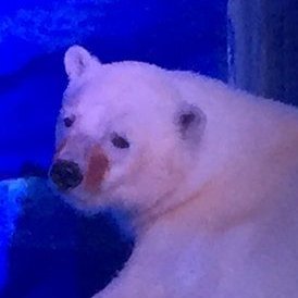 bwoopey's profile picture. 