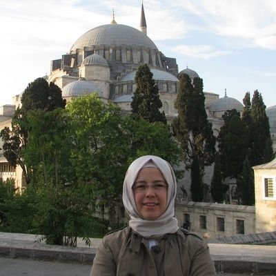 Yolun yarısından sonrasında bir yolcu./
المسافرة التي مرت في منتصف الطريق/ A voyager who've passed halfway through the road.