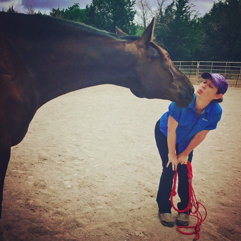 Marriage and Family Therapist specializing in #family and #equine therapy. People + Horses + Dogs = One Happy Austinite.
