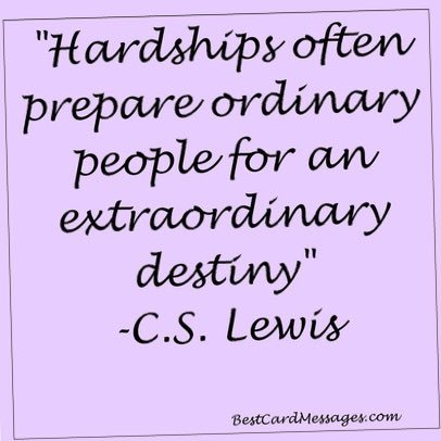 Mbbreck's profile picture. 