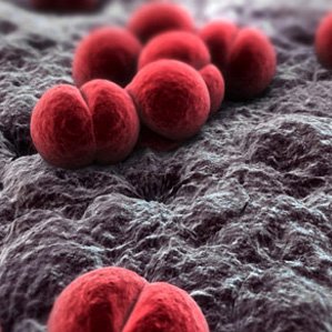 cryptococcus_'s profile picture. The crypto virus is running inside me.