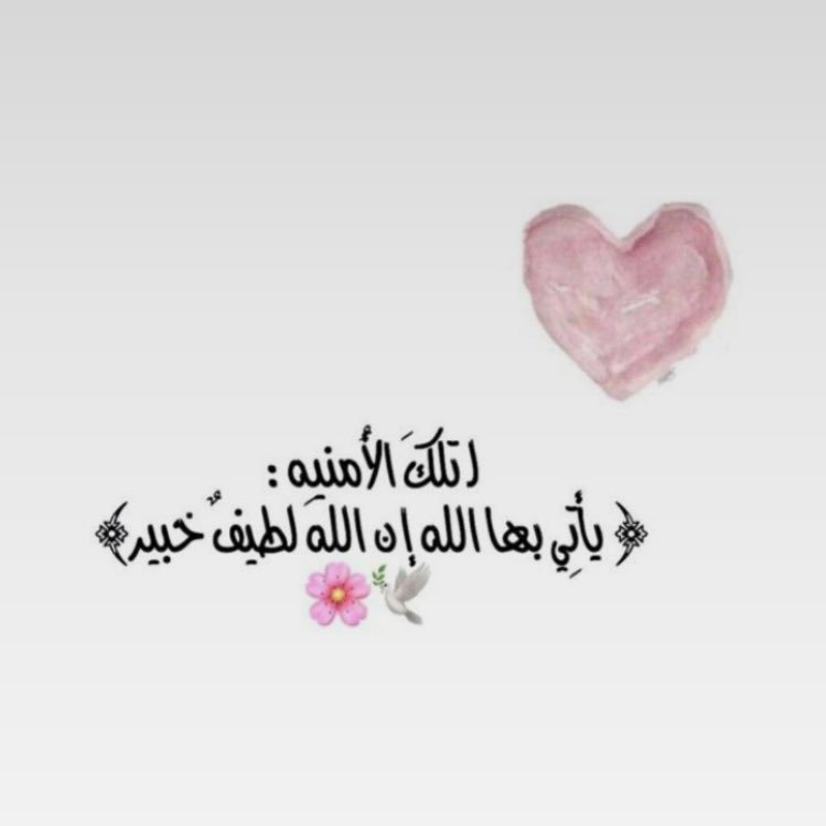 الدنياجميلة والجنةأجمل🕊خريجةجامعة الإمام محمد بن سعود📘💙، قال الله تعالى: ﴿ وفي السماء رزقكم ﴾🎼🦋