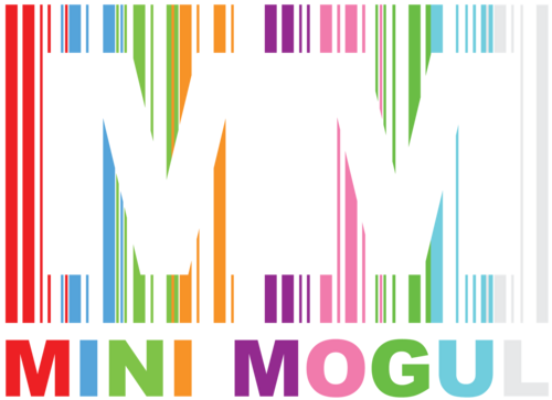 MINI MOGUL is a TV style show where young people aged 16-25 battle it out to win a cash investment to help turn their business ideas into reality.