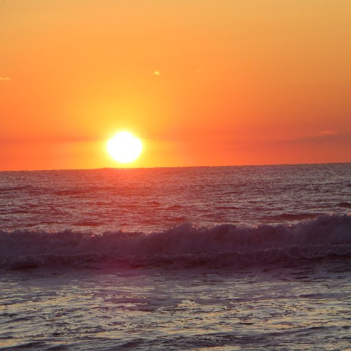 megavational's profile picture. Get Megavated!