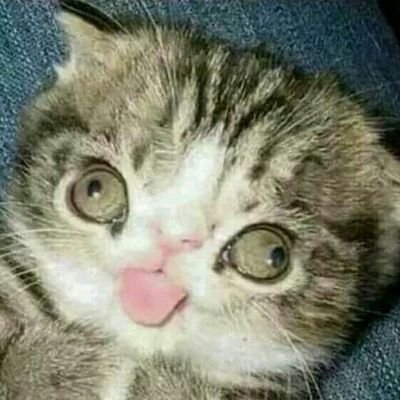 klownderground's profile picture. No es una riñonera, es una bandolera // No hago terapia porque soy pobre