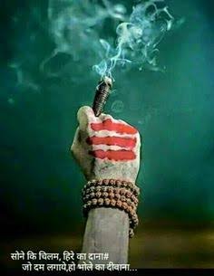 Shekhar56370100's profile picture. Shekhar.   ......sharma