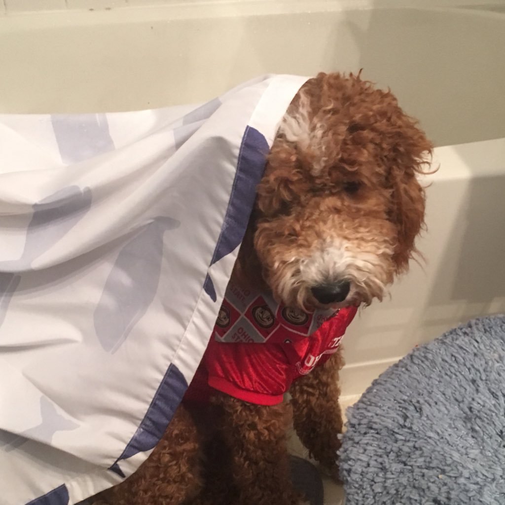 Jillian35647208's profile picture. I just need this to know when school is called off