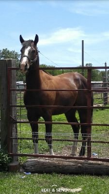 Clinton51667120's profile picture. 