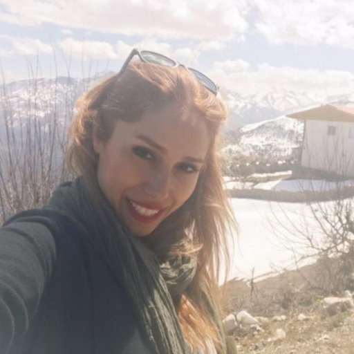 pardis_bkht's profile picture. Artist