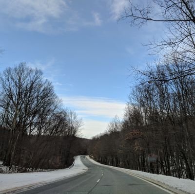 danigoldsteinn's profile picture. 