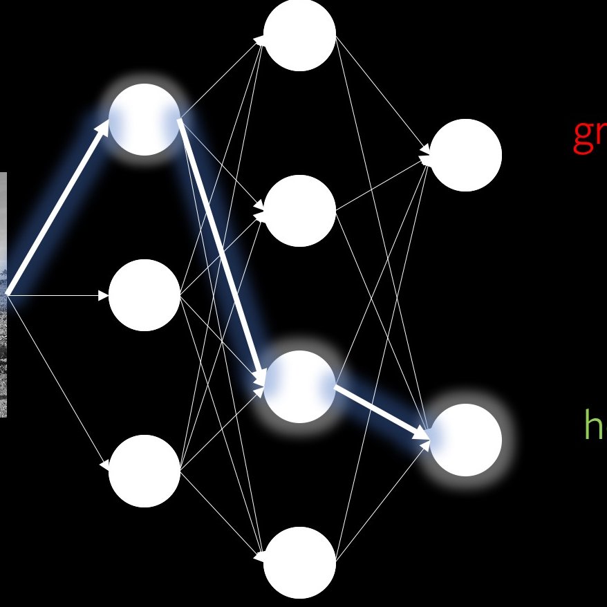 vizmook's profile picture. Teaching "Visual Deep Learning from First Principles"