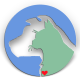 Spay and Save is devoted to general animal welfare and education. Our network of volunteers strive to help good people adopt healthy pets.