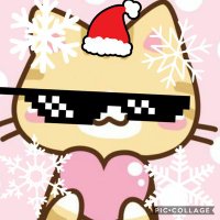 $Kosha4ok$ (@kosha4ok1) 's Twitter Profile