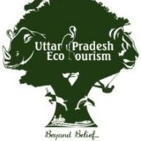 UP Bird Festival(@upecotourism) 's Twitter Profileg