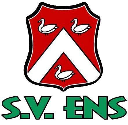 SV Ens Profile