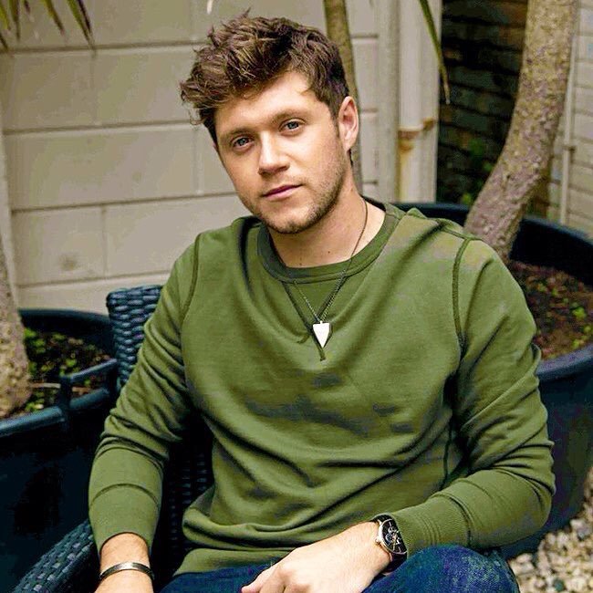 Nialler_Hoeran's profile picture. I stan a legend named Niall James Horan.
