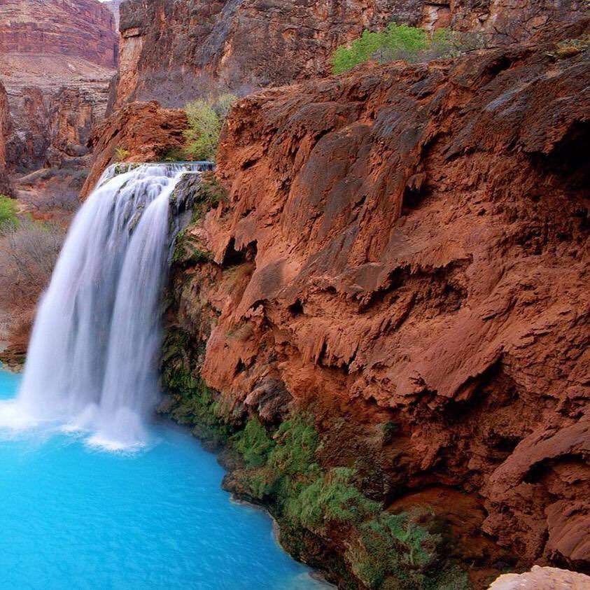 The best kept secret in America! Wish you were here! Latest Havasupai updates and weather! Save the Grand Canyon! Preserve Sacred Land! Educate the children!