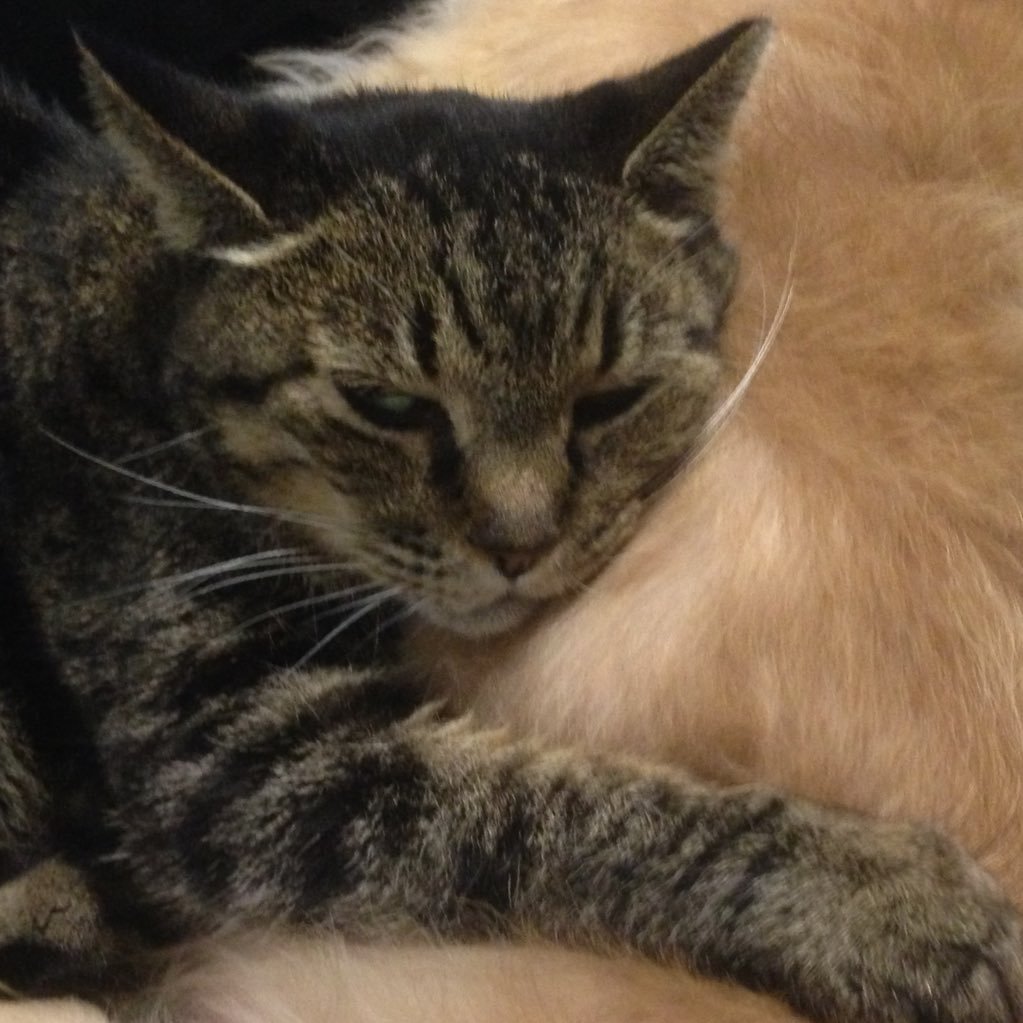 hotel_taktus's profile picture. https://t.co/XUvHh5PxlA