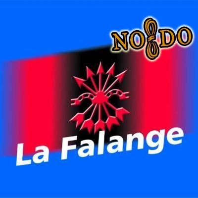 Twitter Oficial de La Falange Sevilla