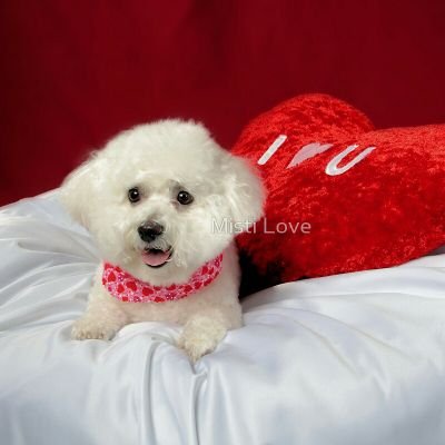 Thanku_rose's profile picture. Rock dj