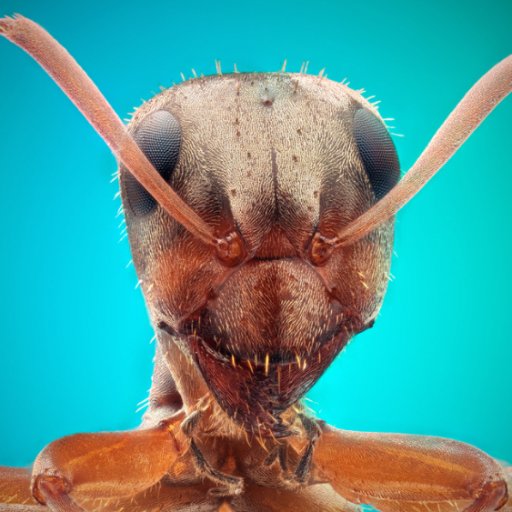 antron_iii's profile picture.