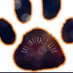 BHS Interact (@bginteractclub) Twitter profile photo BHS Interact (@bginteractclub) Twitter profile photo