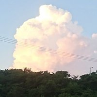 のん (@nonpy_10m) 's Twitter Profile
