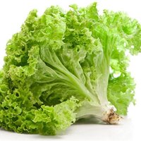 Marul Gunlugu (@marulgunlugu) Twitter profile photo