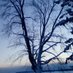Jenn in Orillia 🇨🇦 (@jaoc26) Twitter profile photo Jenn in Orillia 🇨🇦 (@jaoc26) Twitter profile photo
