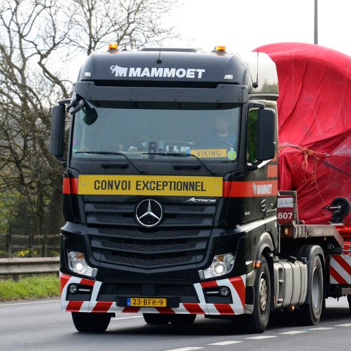 MammoetRC's profile picture. Mammoet Road Cargo transports exceptional cargo throughout Europe and is one of the European marketleaders in the area of exceptional transport.