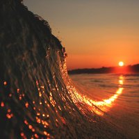 Cindy 🌴🌺🌴🦋 (@beacheygirl) 's Twitter Profile