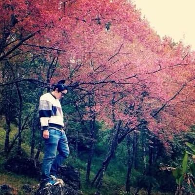 Aipzz Profile