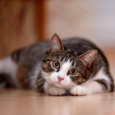 blog_marketing3's profile picture. マーケティングが専門。ワインと筋トレが大好き。髭男子🧔